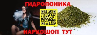 молекула духа Гусев