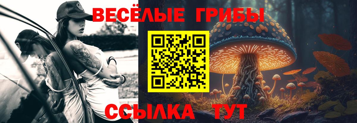 Псилоцибиновые грибы MAGIC MUSHROOMS Муром
