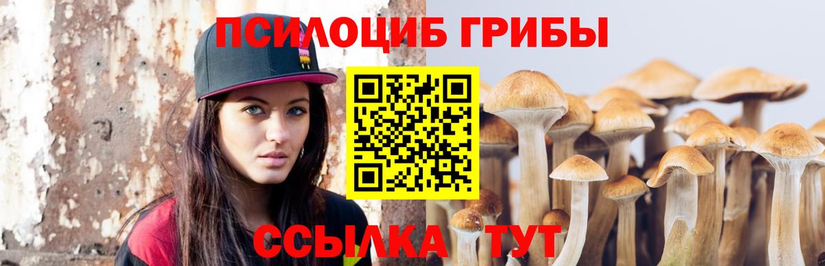 Муром  Псилоцибиновые грибы прущие грибы  Вход с VPN 